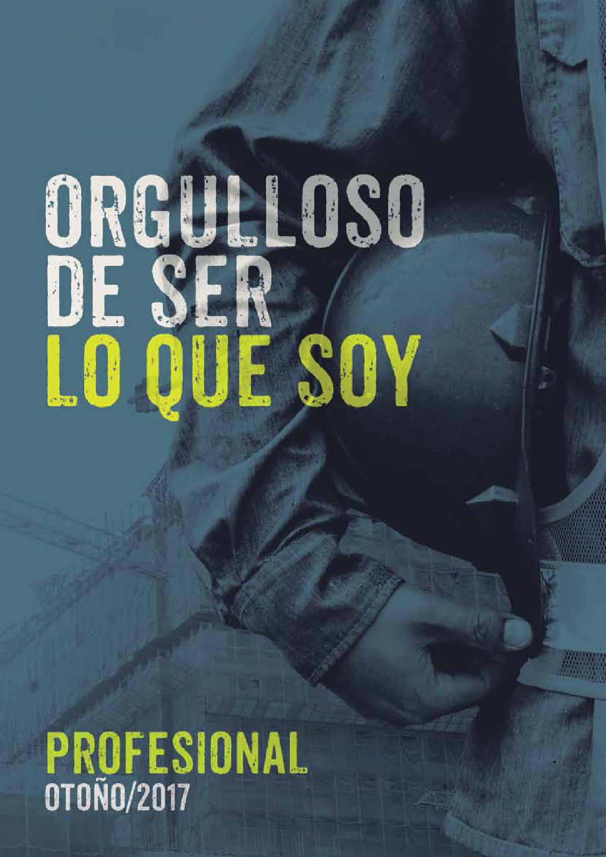 ferrokey profesional 2017