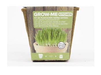 Semillas hierba gatos the garden people 10 gr