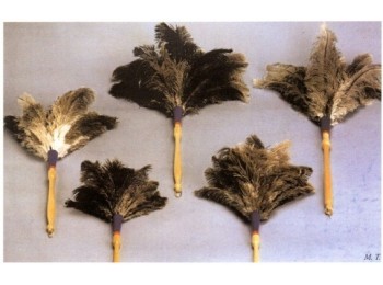 Plumero limp 23cm m/mad rafael plumeros