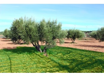 Malla recol. 5x10mt aceitunas natuur ver confecc. nt128209