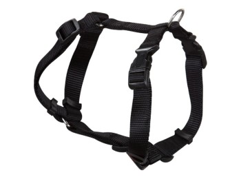 Collar mascota ancho 1,5cm cab 27,5a39cm tronco 38a31cm arpp