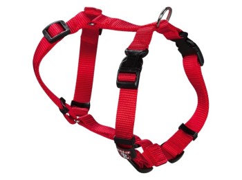 Collar mascota ancho 1cm  cab 23a35cm tronco 25a32,5cm arppe